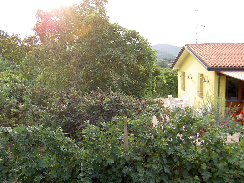 Agriturismo Monteortone Abano Terme Exterior photo